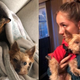 Tyrone cuddling Luna because he is cold; Tyrone being cuddled by his human cousin, Gabi, because he is cold.